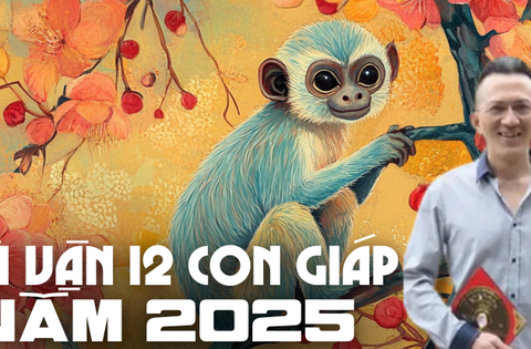 Dự báo CHI TIẾT vận mệnh 12 con giáp năm 2025: Thân dồi dào may mắn, tiền bạc lẫn công việc đều lên hương