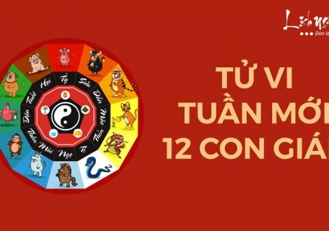 Tử vi tuần mới của 12 con giáp (17-23/3/2025): Sửu vất vả, Tý có lộc