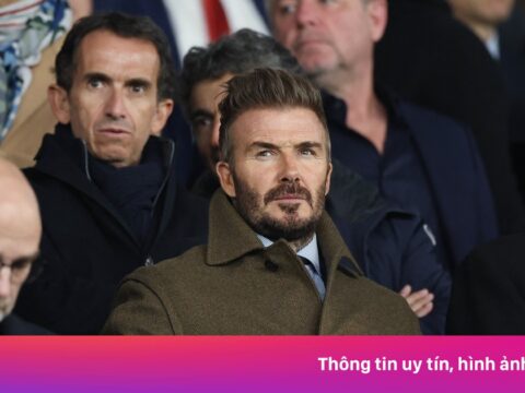 Beckham ca ngợi CĐV Newcastle