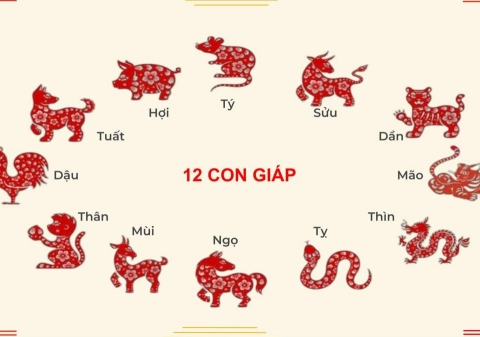 Tử vi hôm nay ngày (30/3/2025) của 12 con giáp: Tuất áp lực, Mùi vận may bất ngờ