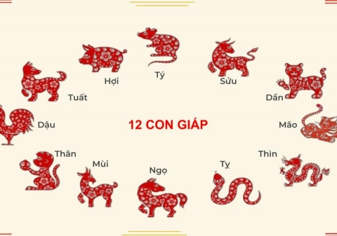 Tử vi tháng 3 của 12 con giáp: Thìn sẽ phát tài, Ngọ cần đề phòng đại hạn