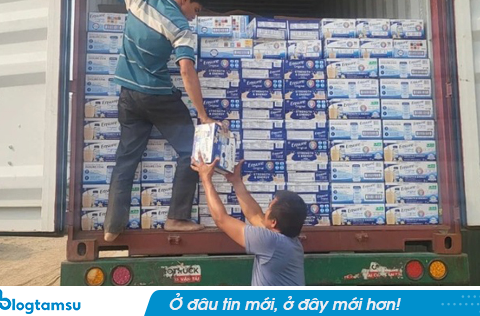 Khởi tố một cán bộ hải quan tiếp tay buôn lậu hơn 4.000 thùng sữa từ Mỹ về Việt Nam