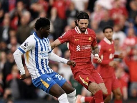 Tân vương Liverpool tiếp tục gục ngã, Brighton mơ vé châu Âu