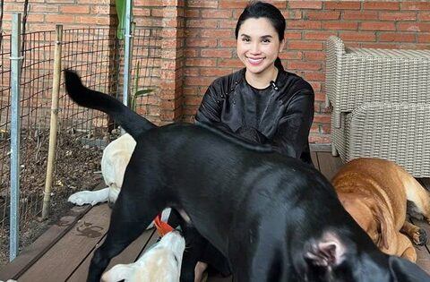 “Chị bán gạo” hot nhất TikTok xây villa cho cún cưng, 2 triệu người cảm thấy… “thua đời”