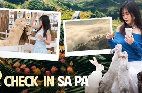 Mùa hè trốn nắng nóng rủ nhau đi chơi ở Sa Pa và đây là những địa điểm check-in kiểu gì cũng có ảnh đẹp!