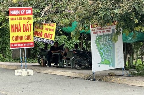 Giữ lô đất 10 năm không bán, giá tăng gấp 7 lần, nhà đầu tư này vẫn tự tin: “Tôi chờ thêm 10 năm nữa”