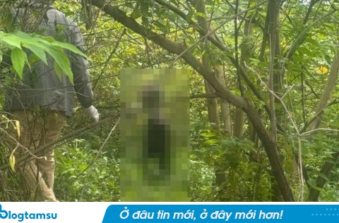 Đi chăn bò phát hiện nam thanh niên ‘chân không chạm đất’