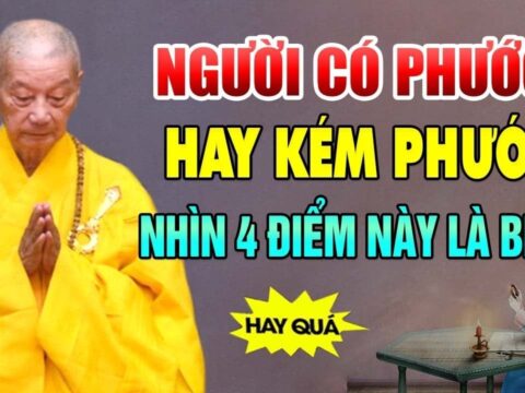 Đến tuổi 50 thì nghiệp và phước của một người đều tụ lại 1 chỗ: Là chỗ nào?
