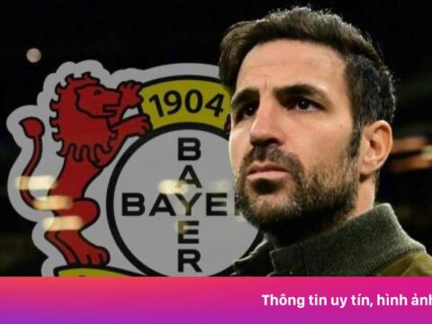 Fabregas có thay Alonso ở Leverkusen?