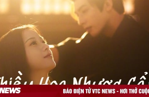 Nội dung, lịch chiếu phim Thiều hoa nhược cẩm