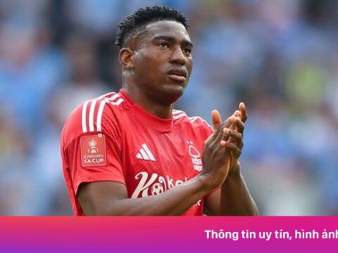 Sao Premier League hôn mê