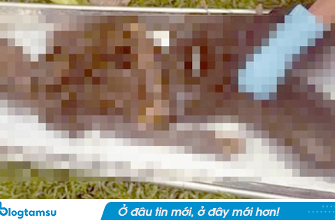 Tìm thân nhân bộ xương người được phát hiện dưới chân cầu ở TPHCM
