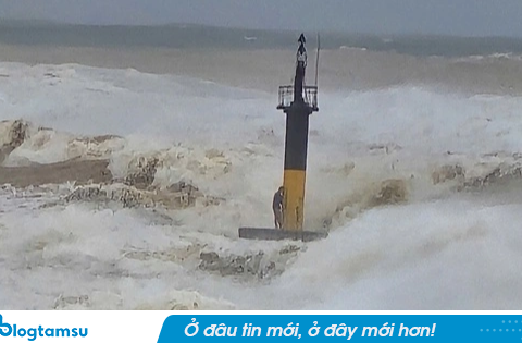 Vụ 2 tàu cá gặp nạn khi vào tránh bão số 10: Danh tính 9 người được cứu vào bờ