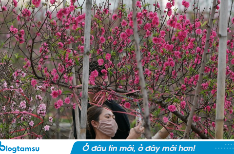 Tết Nguyên đán 2026 được nghỉ bao nhiêu ngày?