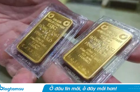 Cập nhật giá vàng sáng 13.9: Nguy cơ thua lỗ tăng cao