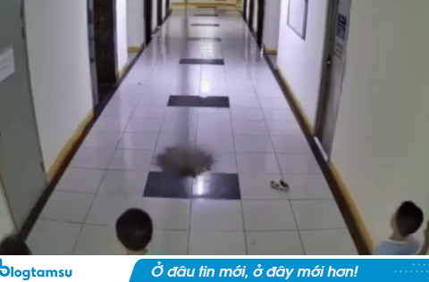 Vụ thi ném dép trúng van nước chung cư khiến 2 thang máy bị tê liệt: ‘Con tôi lo sợ không dám ngủ’
