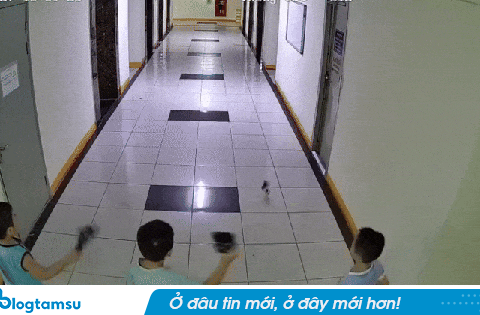 Tranh cãi vụ cháu bé ở Hà Nội ném dép trúng van nước chung cư khiến 4 thang máy lênh láng, hư hỏng