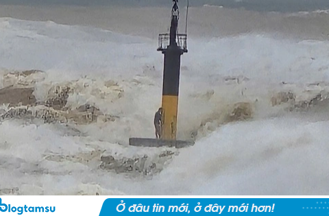 Ngư dân thoát nạn trong vụ tàu cá TP HCM gặp nạn kể lại “phút giây sinh tử” trên biển