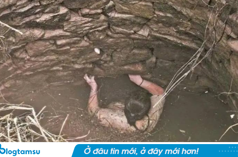54 giờ dưới giếng hoang: Người phụ nữ chống chọi rắn, đói khát để giành sự sống