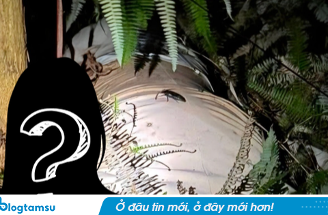Đã xác định danh tính nạn nhân và mối quan hệ bí ẩn trong vụ người phụ nữ mất tích được tìm thấy trong bao tải