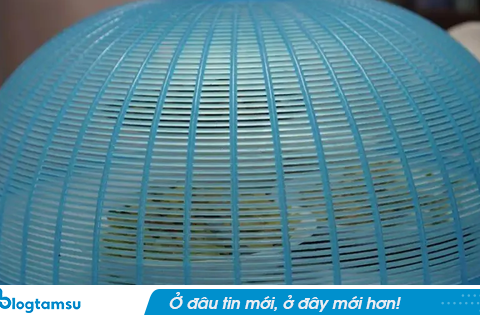 4 thực phẩm tưởng sạch nhưng là “ổ vi khuẩn”, ăn sai dễ phải nhập viện