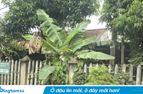 Gia cảnh trắc trở và ‘vết trượt’ của nghi can sát hại vợ và hai người nghi tình địch