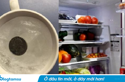 Người thông minh sẽ đặt một đồng xu vào tủ lạnh trước khi đi chơi xa, biết lý do tôi liền học theo