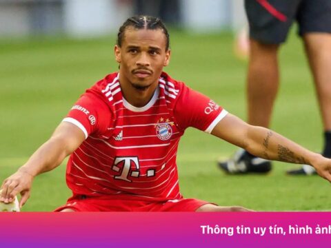 ‘Sane đã tự vứt bỏ sự nghiệp’
