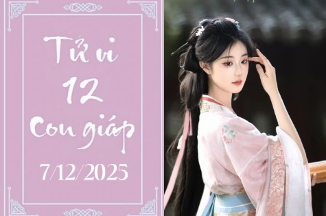 Tử vi 12 con giáp hôm nay ngày 7/12/2025: Thân may mắn, Mùi tình cảm trắc trở