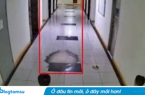 Bé trai ném dép làm hỏng thang máy chung cư ở Hà Nội: Gia đình lên tiếng về việc bồi thường