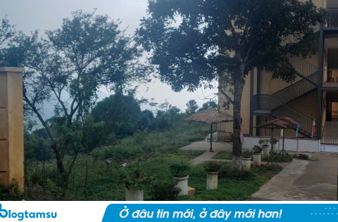 Vụ đổ trụ cổng trường học ở Lào Cai, 2 anh em ruột tử vong thương tâm: Danh tính nạn nhân