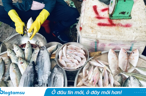 Chủ hàng cá nói thẳng: 3 loại thịt cá cho thêm tiền cả nhà tôi cũng chẳng dám ăn