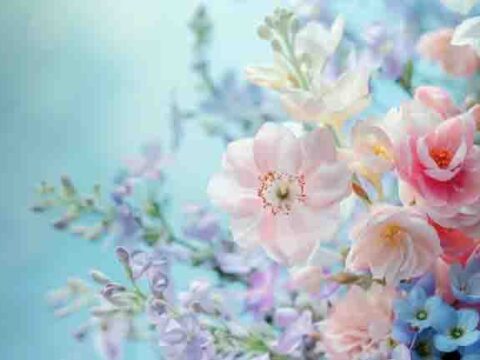 Phụ nữ có nốt ruồi ở vị trí này, cuộc sống sung túc dư dả