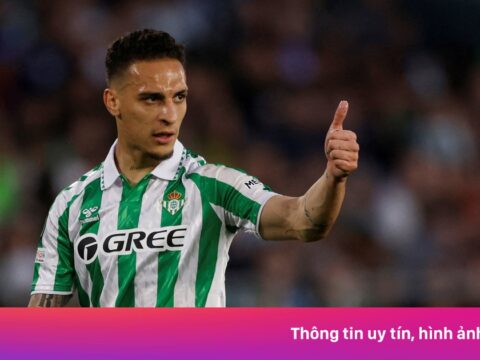 Người đứng sau màn tỏa sáng của Antony