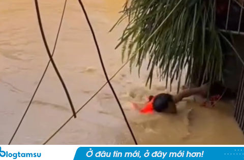 Vợ reo vui khi chồng bơi hơn 5 tiếng về nhà sau đêm mắc kẹt vì nước lũ
