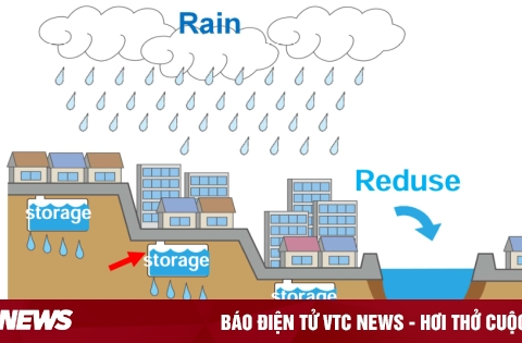 Bể ngầm Cross-Wave chứa nước, giảm lụt hoạt động ra sao?