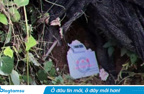 Thi thể nữ diễn viên trẻ Hàn Quốc bị vứt trong rừng sau buổi livestream, nghi phạm là “ông bầu quyền lực” phía sau
