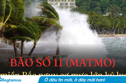 Bão số 11 đổ bộ, đất liền Quảng Ninh – Ninh Bình đối mặt gió giật cấp 10