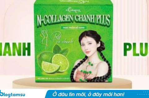 Sở An toàn thực phẩm TP.HCM nói gì về kiểm tra công ty của ‘Ngân Collagen’?