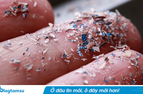 Top 2 loại củ quả đứng đầu danh sách nhiễm vi nhựa nhưng người Việt vẫn vô tư ăn hàng ngày