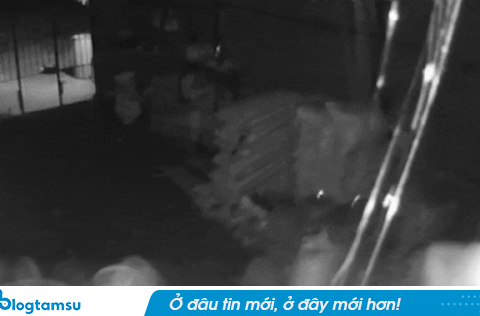 25 trận động đất xảy ra tại 1 địa phương ở Việt Nam trong vòng 20 tiếng