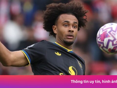 2 CLB Premier League hỏi mua Zirkzee