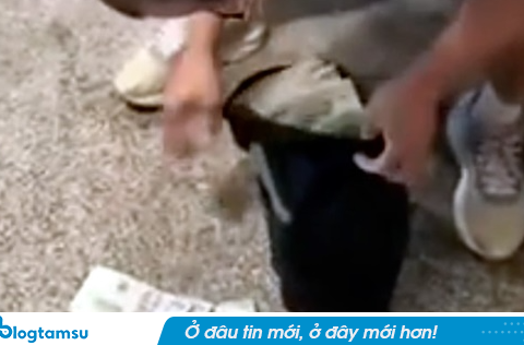 Công an xác minh vụ tranh giành các túi tiền tại khu chung cư cao cấp ở Hà Nội