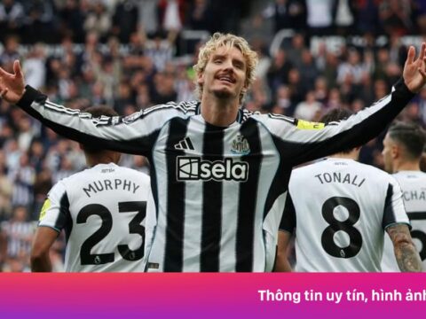 Thương vụ ‘bom tấn’ đắt nhất lịch sử Newcastle bị chê ‘ngu ngốc’